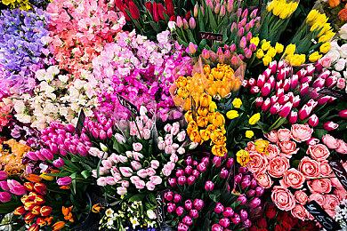 感慨万分！《空洞骑士》十年旧帖曝光 辞职制作无人看好