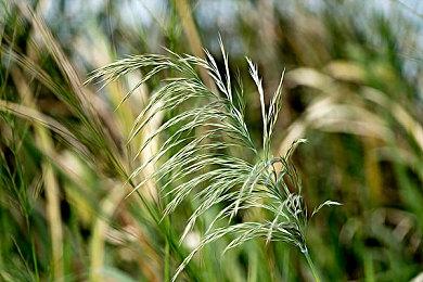 SE移除《浪漫沙加2：七英雄的复仇》D加密技术